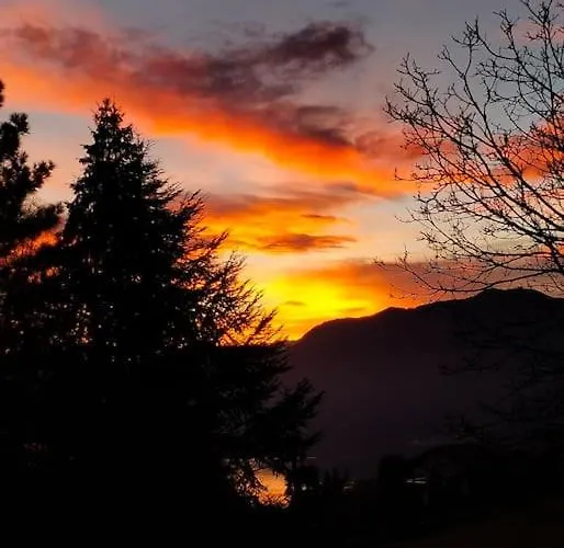 Gemuetliche In Apartament *