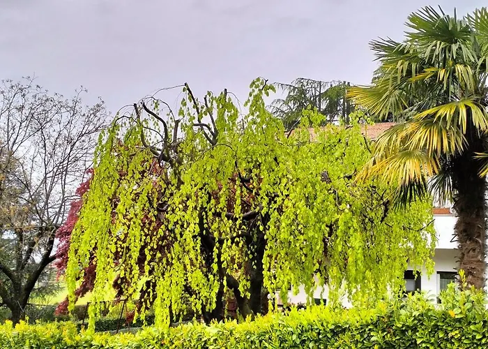 Gemuetliche In Apartament *