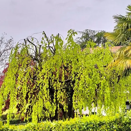 Gemuetliche In Apartman *